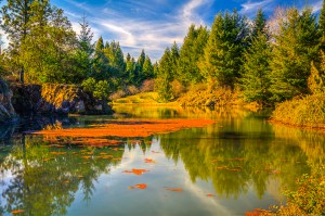 Quarryhill - Japanese Botanical Garden Photography